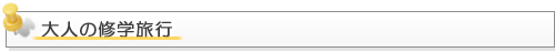 大人の修学旅行